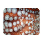 Naher Oktopus fallen Magnet (Horizontal)