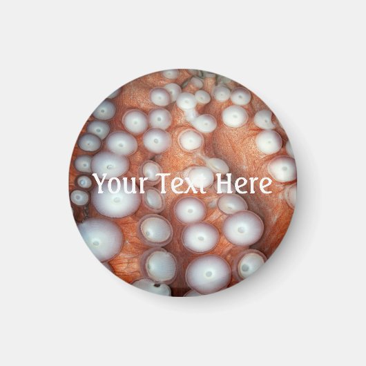 Naher Oktopus fallen Magnet (Vorne)