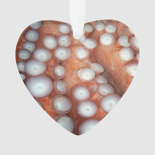 Naher Oktopus fallen Ornament (Vorderseite)