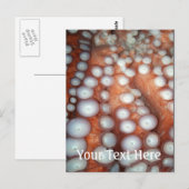 Naher Oktopus fallen Postkarte (Vorne/Hinten)
