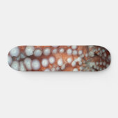 Naher Oktopus fallen Skateboard (Horizontal)