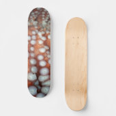 Naher Oktopus fallen Skateboard (Vorderseite)