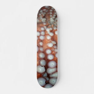 Naher Oktopus fallen Skateboard