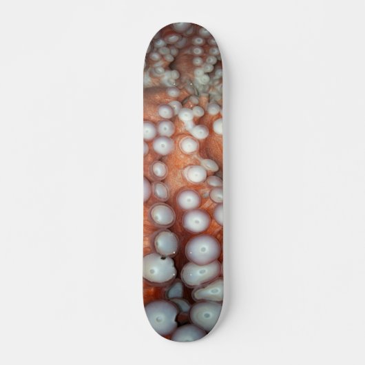 Naher Oktopus fallen Skateboard (Vorne)