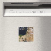 Naher Osten Magnet (In Situ (Geschirrspüler))