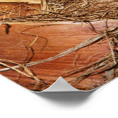 Naher Palmenstamm Poster (Ecke)