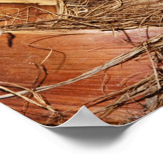 Naher Palmenstamm Poster (Ecke)