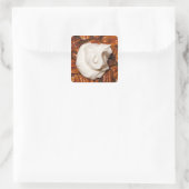 naher Pecan-Kuchen mit Sahne Quadratischer Aufkleber (Tasche)