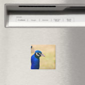 Naher Pfau 2 Magnet (In Situ (Geschirrspüler))