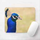 Naher Pfau 2 Mousepad (Mit Mouse)