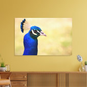 Naher Pfau 3 Leinwanddruck (Insitu (Wohnzimmer))