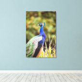 Naher Pfau Leinwanddruck (Insitu (Holzboden))