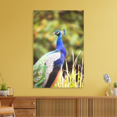 Naher Pfau Leinwanddruck (Insitu (Wohnzimmer))