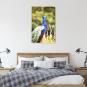 Naher Pfau Leinwanddruck (Insitu (Schlafzimmer))