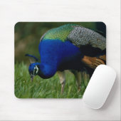 Naher Pfau Mousepad (Mit Mouse)