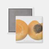 Naher Querschnitt einer Pflaume Magnet (Vorderseite/Rückseite)