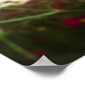 Naher Schmetterling auf Blume Poster (Ecke)