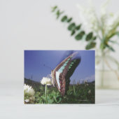Naher Schmetterling auf der Blume, Flügelschlag Postkarte (Stehend Vorderseite)