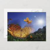 Naher Schmetterling, Flügel Postkarte (Vorne/Hinten)