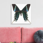 Naher Schmetterling Leinwanddruck (Insitu (Wohnzimmer))