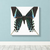 Naher Schmetterling Leinwanddruck (Insitu (Holzboden))