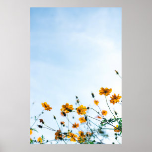 Naher Schuss gelber Blumen Poster