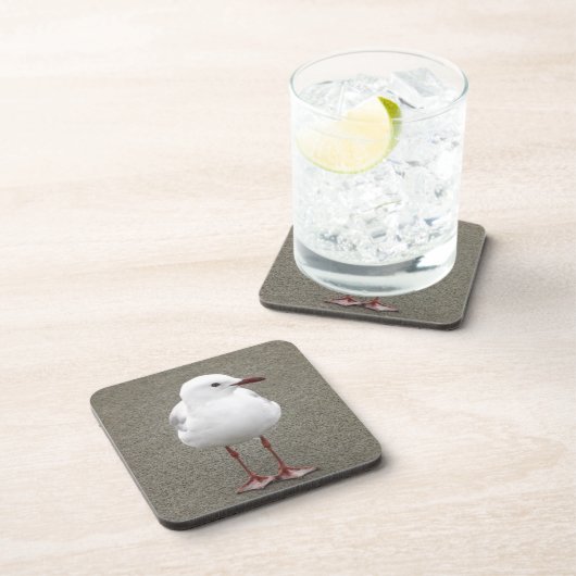 Naher Seagull Getränkeuntersetzer (Rechte Seite)