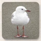 Naher Seagull Getränkeuntersetzer (Vorderseite)