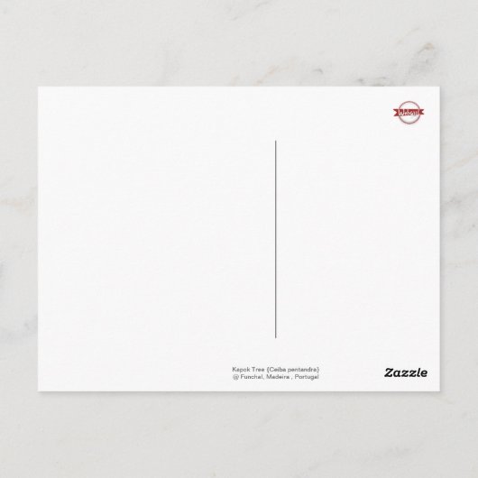 Naher Spiky Kapok Tree Trunk: Funchal Madeira Postkarte (Rückseite)