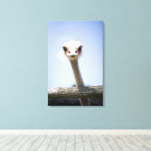 Naher Straußenkopf Leinwanddruck (Insitu (Holzboden))