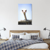 Naher Straußenkopf Leinwanddruck (Insitu (Schlafzimmer))