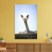 Naher Straußenkopf Leinwanddruck (Insitu (Wohnzimmer))