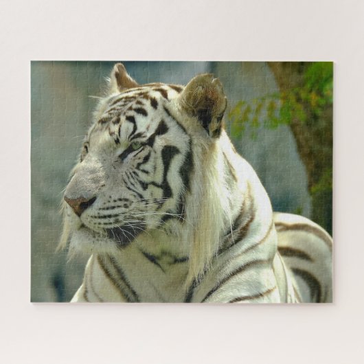 Naher Tiger Puzzle (Horizontal)