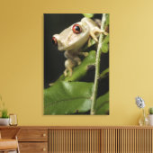 Naher Waldbaumfrosch (Leptopelis) Leinwanddruck (Insitu (Wohnzimmer))