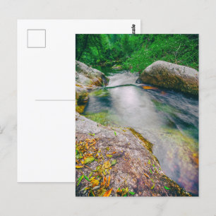 Naher Wasserfall des Teiches Postkarte
