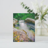 Naher Wasserfall des Teiches Postkarte (Stehend Vorderseite)