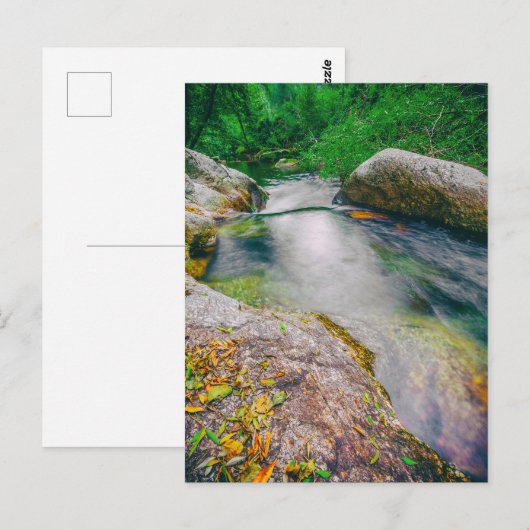 Naher Wasserfall des Teiches Postkarte (Vorne/Hinten)