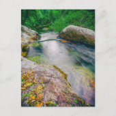 Naher Wasserfall des Teiches Postkarte (Vorderseite)