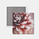 Naher Wassertropfen auf einer Blume Magnet (Vorderseite/Rückseite)