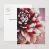 Naher Wassertropfen auf einer Blume Postkarte (Vorne/Hinten)