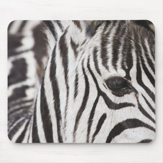 Naher Zebrastreifen Mousepad (Vorne)