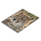 Naher Zusammenschluss von Cheetahs Notizblock (Linke Seite)