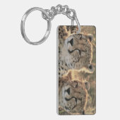 Naher Zusammenschluss von Cheetahs Schlüsselanhänger (Vorderseite links)