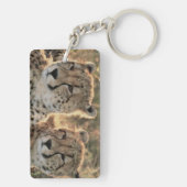 Naher Zusammenschluss von Cheetahs Schlüsselanhänger (Rückseite)