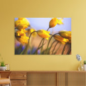 Naher Zusatz von Narzissen Leinwanddruck (Insitu (Wohnzimmer))