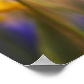 Naher Zusatz von Narzissen Poster (Ecke)