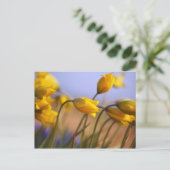 Naher Zusatz von Narzissen Postkarte (Stehend Vorderseite)