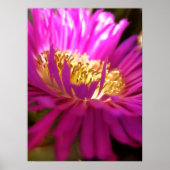 Nähere Blume Makro-Plakat Poster (Vorne)