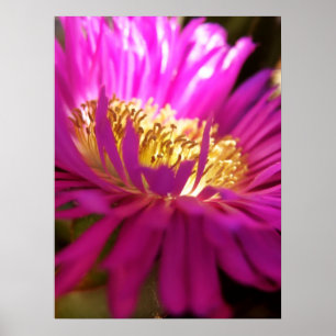 Nähere Blume Makro-Plakat Poster