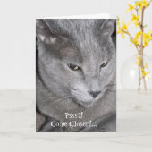 Nähere Karte (Gelbe Blume)